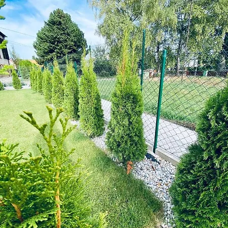 Apartmanove Kaja, Niko, Simi *