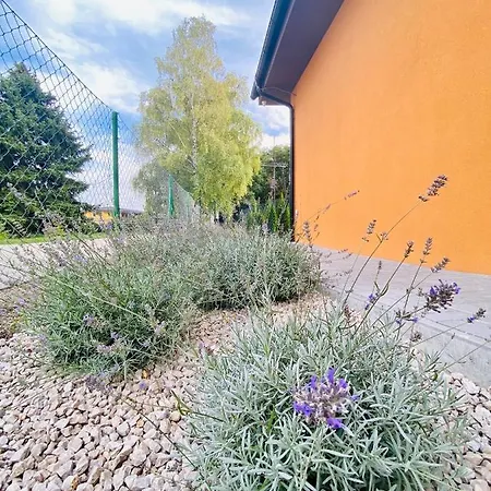 Apartmanove Kaja, Niko, Simi